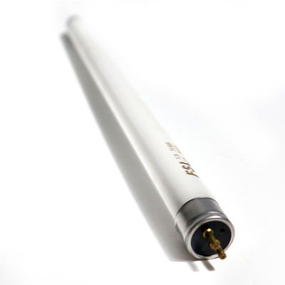 5w T5/8W ゴールデンドラゴン ハイガーキング ロング・ジョントン アンカイ バスパーツ 3755-00032