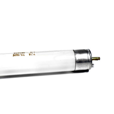 3755-00032 ハイガーバスの部品 ランプチューブ 完璧な交換または修理部品